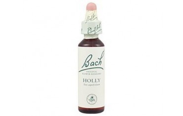 Holly - Acebo BACH Nº 15