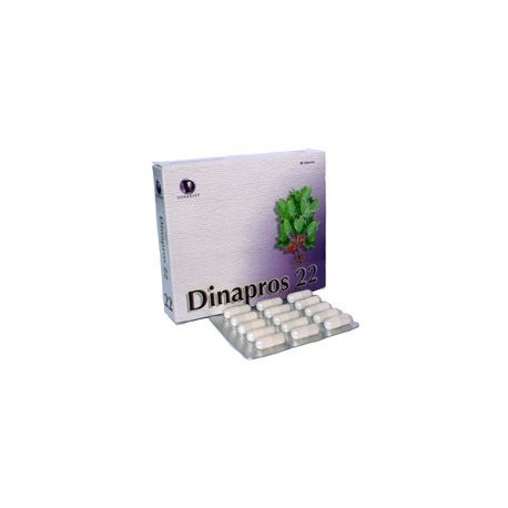 Dinaprós 22 60 cápsulas de 500 mg Dinadiet