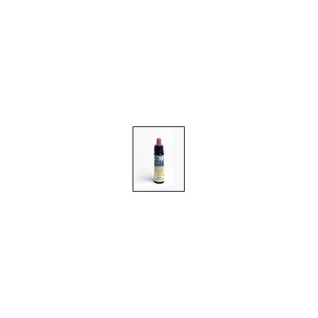 Beech - Haya Nº 03 PLANTIS 10ml -Cultivo Ecológico