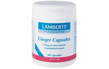 Jengibre 120 mg  60 cápsulas Lamberts