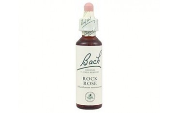 Rock Rose - Heliantemo BACH Nº 26