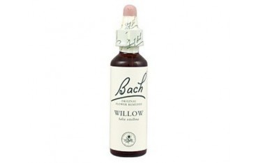 Willow - Sauce BACH Nº 38