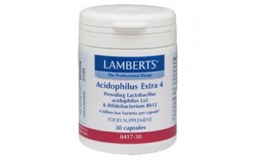 Acidophilus extra 4 30 cápsulas Lamberts