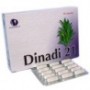 Dinadí 21 90 cápsulas 500 mg Dinadiet