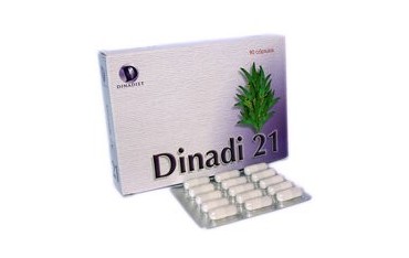 Dinadí 21 90 cápsulas 500 mg Dinadiet