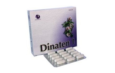 Dinatén 1 60 cápsulas 500mg Dinadiet