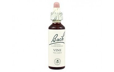 Vine - Vid BACH Nº 32