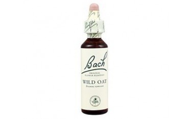 Wild oat - Avena silvestre BACH Nº 36