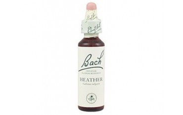 Heather - Brezo BACH Nº 14