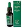 Holopai 1-E Estimulante sistema nervioso 31 ml Equisalud
